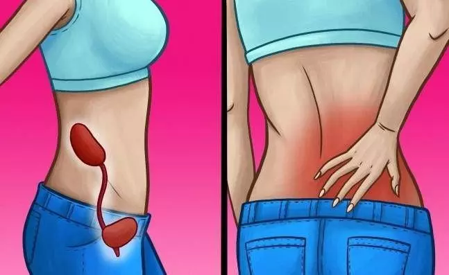 10 個警告「你的腎臟可能快不行了」，常常「背痛」一定要注意，不想一輩子洗腎趕緊去醫院！