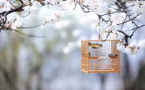 /www/bananadaily.net/web/images/image/2181/21814006.avif