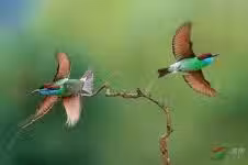 /www/bananadaily.net/web/images/image/2181/21819274.avif