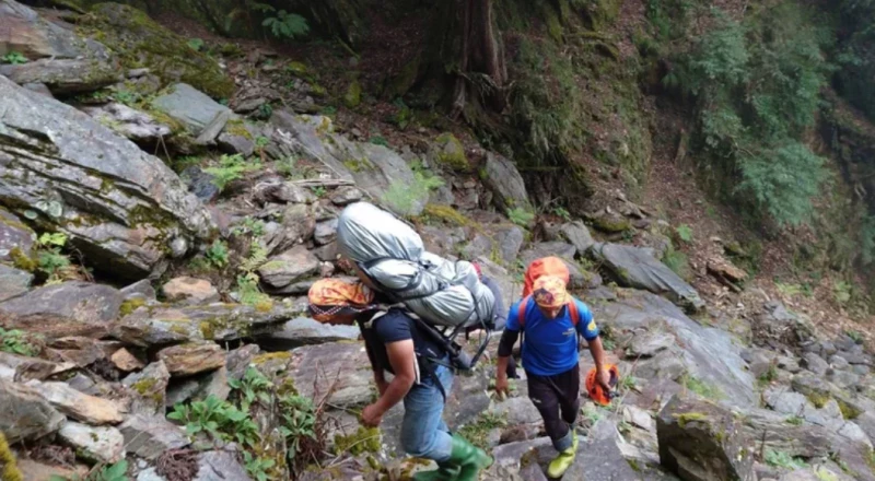 【新聞】南投郡大林道女山友如廁跌落山 頭部重創死亡