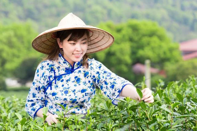 「女兒，拆遷房裝修好了，帶女婿回家吃飯吧」女兒：不了，不敢去