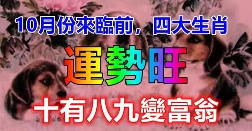 10月份來臨前，事業一馬平川，運勢旺，十有八九變富翁的四大生肖 