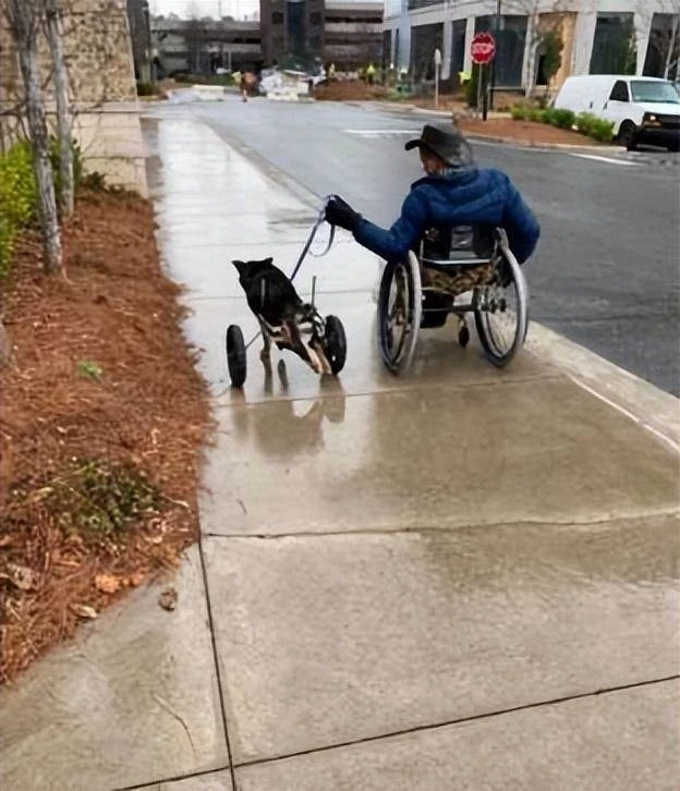狗狗因後腿不能動被退養4次，新主人坐輪椅來領養：我們是一樣的