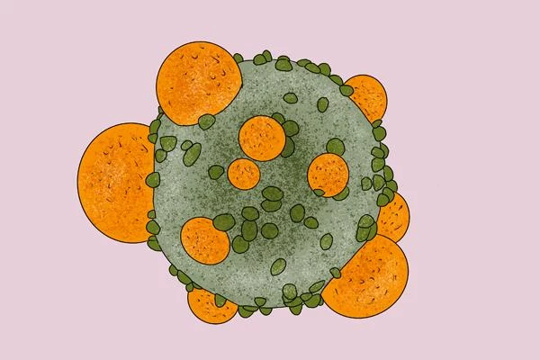 發燒了，到底是細菌還是病毒，該怎麼去判斷？經常發燒不易得癌？
