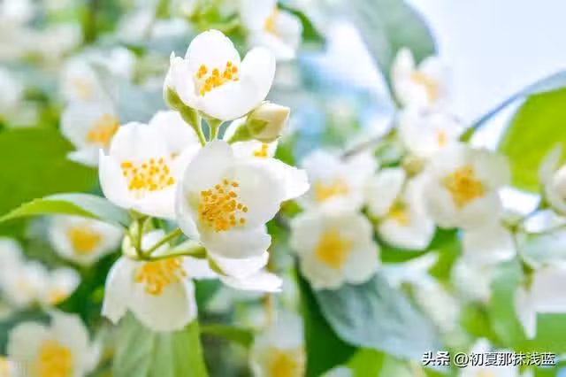 婆婆安排:兒媳和兒子AA制既節約又省錢,兒媳:錢不花留著長毛嗎
