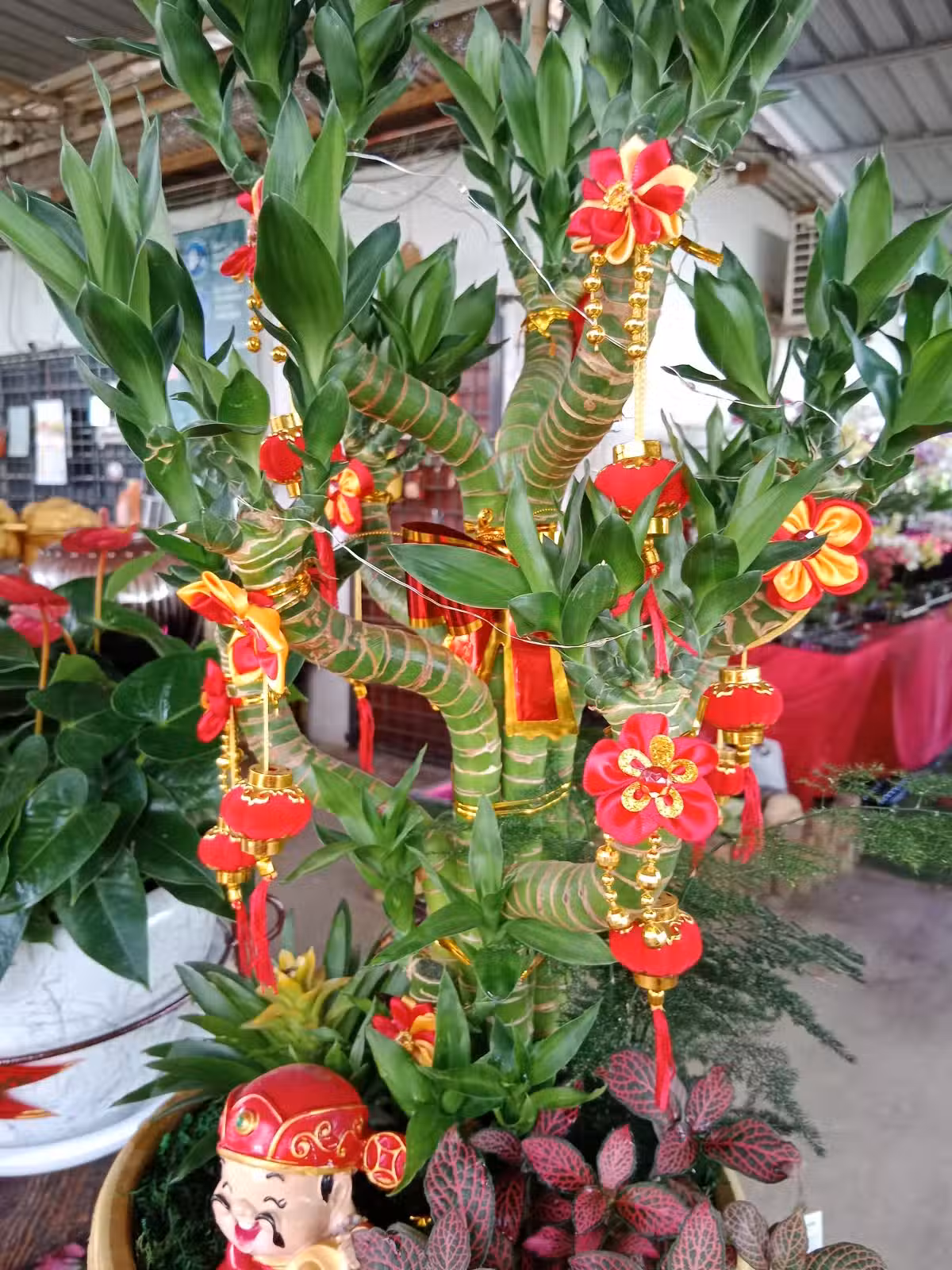 /www/bananadaily.net/web/images/image/2204/22040876.avif