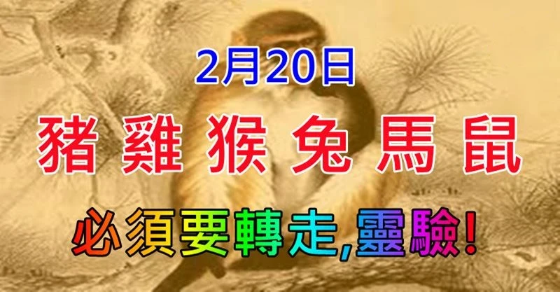 2月20日（豬、雞、猴、兔、馬、鼠）好事發生