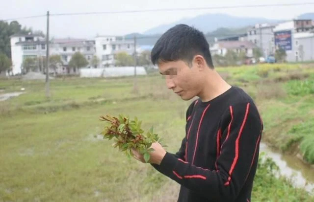 我媽把拆遷房給我弟，卻讓我給她買房寫她名，以後留給兒孫